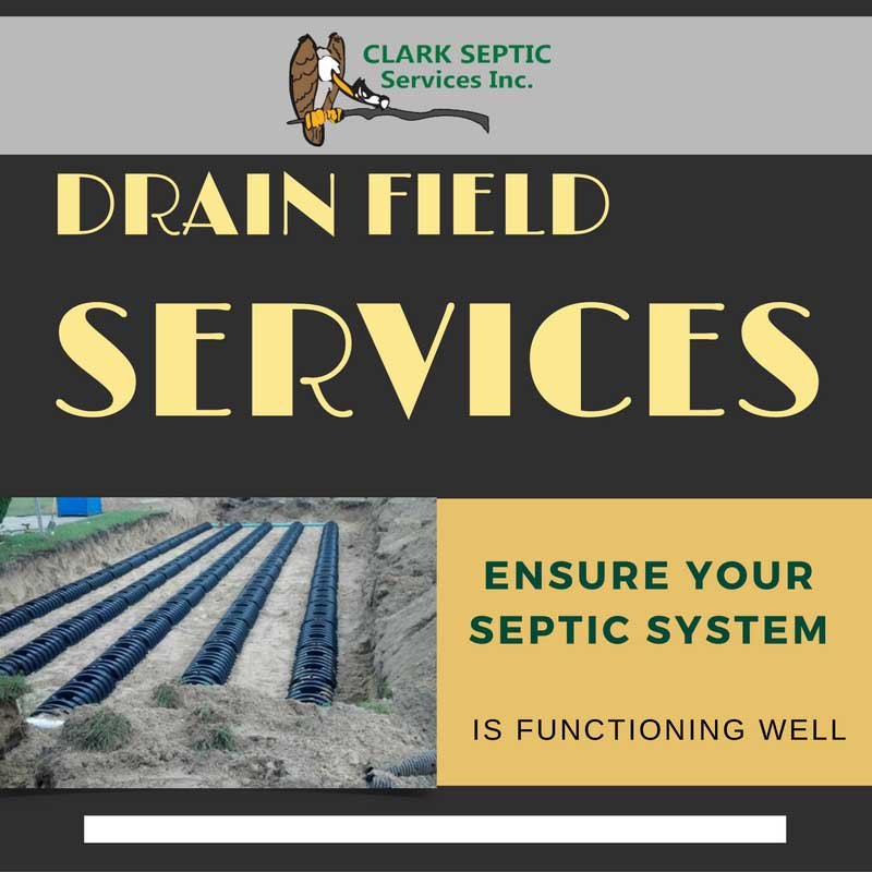 Drain field Services Ensure Your Septic System is Functioning Well