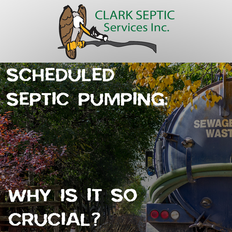 Scheduled Septic Pumping: Why Is it So Crucial?