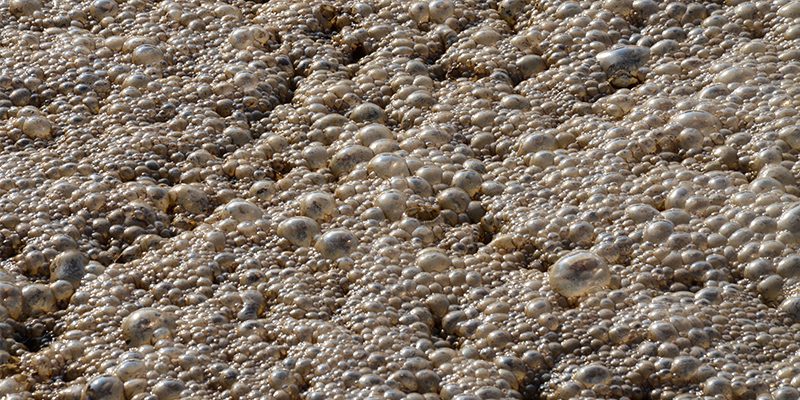 Aerobic Septic Systems