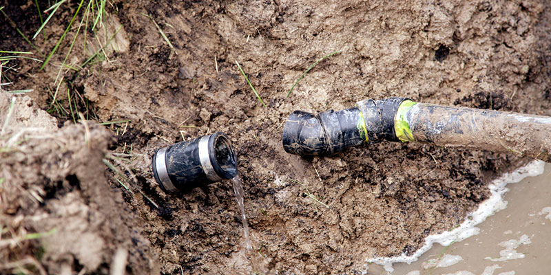Common Signs You Need Septic System Repair