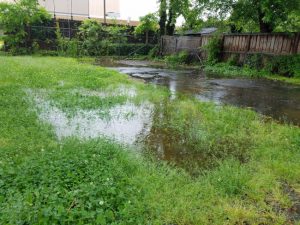 How to Avoid Calling for Drain Field Services Unnecessarily